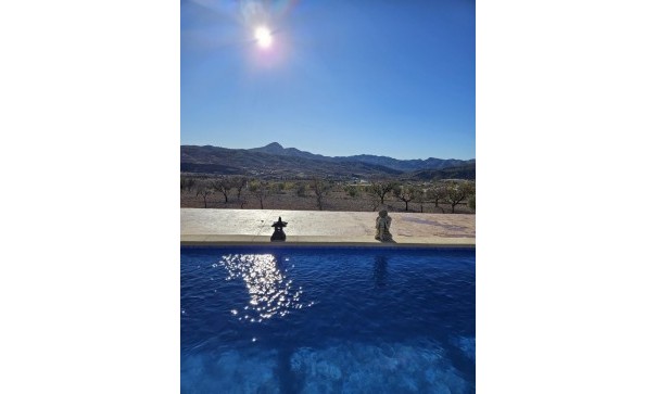 Revente - Villa Individuelle -
Macisvenda