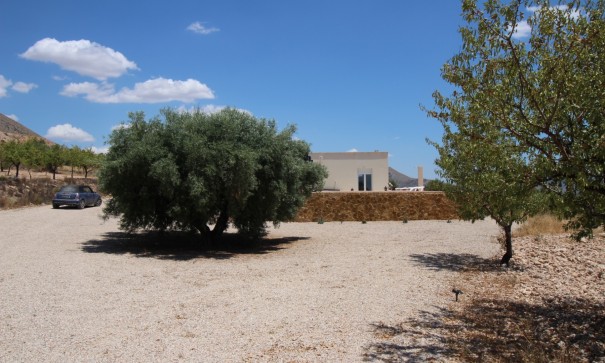 Revente - Villa Individuelle -
Macisvenda