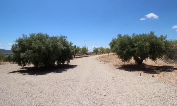 Revente - Villa Individuelle -
Macisvenda