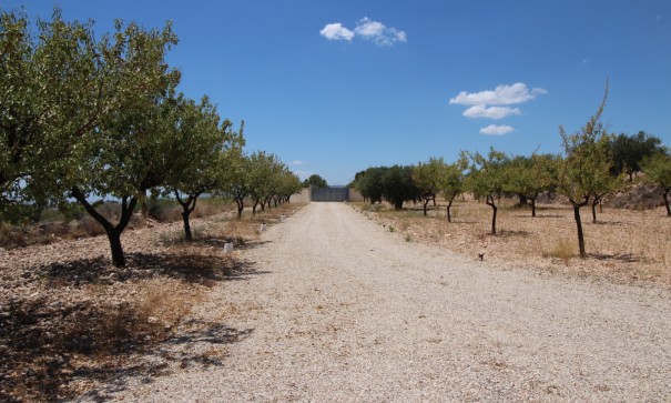 Revente - Villa Individuelle -
Macisvenda
