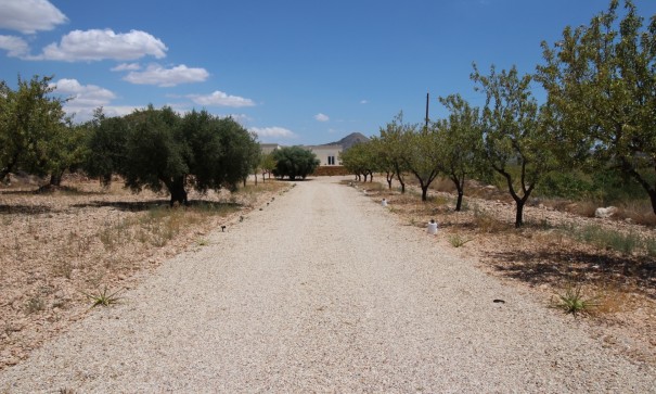 Revente - Villa Individuelle -
Macisvenda