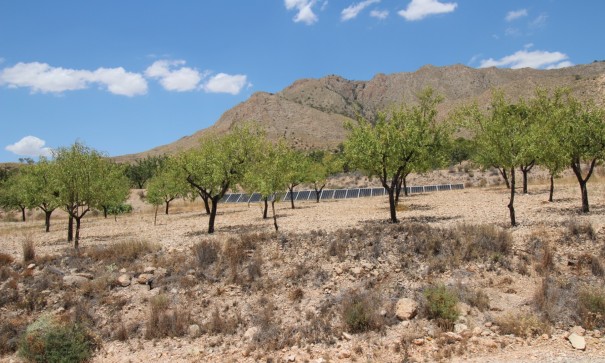 Revente - Villa Individuelle -
Macisvenda