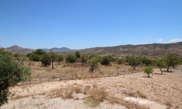 Revente - Villa Individuelle -
Macisvenda