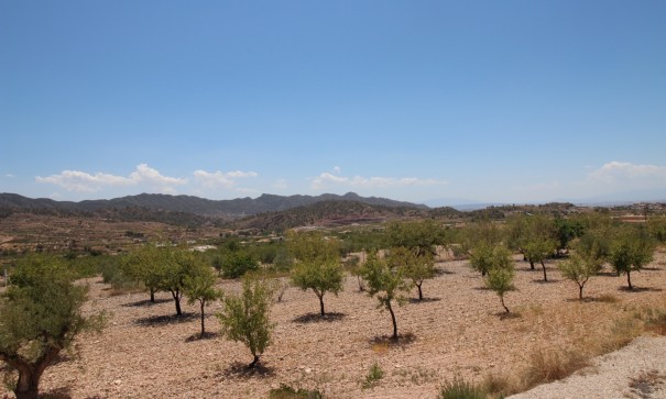 Revente - Villa Individuelle -
Macisvenda