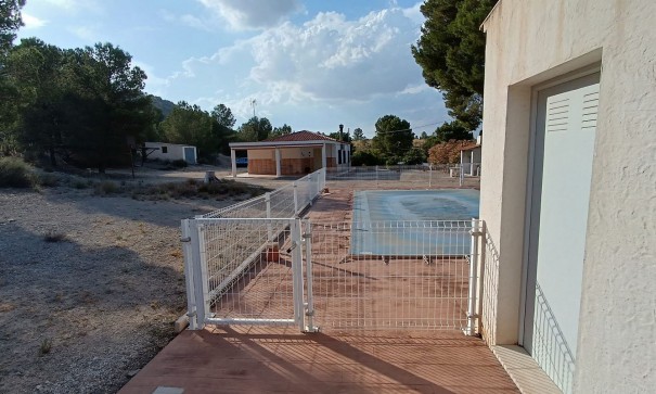 Sprzedaż - Willa wolnostojąca -
Yecla