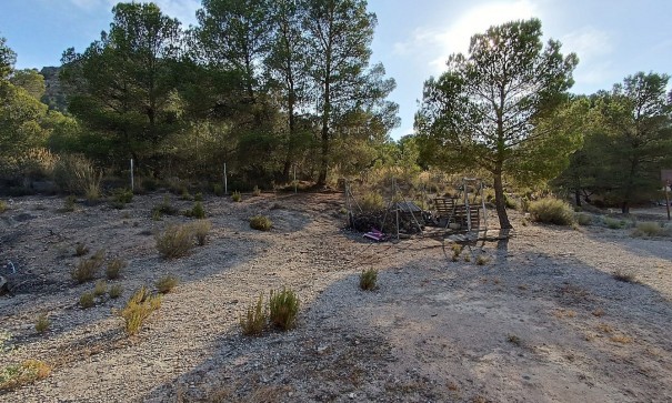 Sprzedaż - Willa wolnostojąca -
Yecla