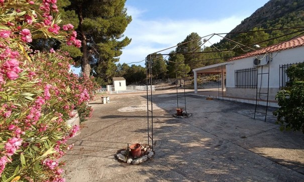 Sprzedaż - Willa wolnostojąca -
Yecla