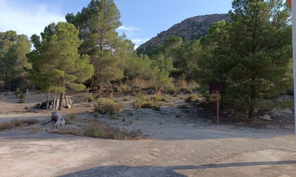 Sprzedaż - Willa wolnostojąca -
Yecla