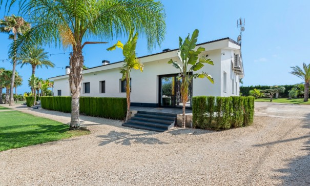 Sale - Detached Villa -
Elche - Elche/Elx