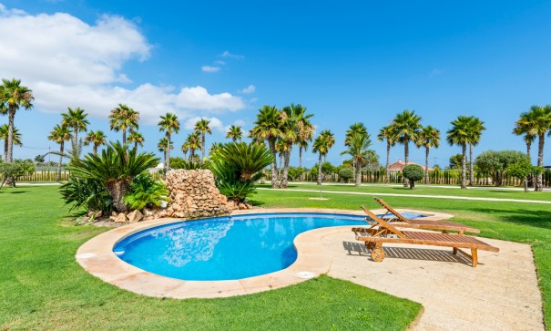 Sale - Detached Villa -
Elche - Elche/Elx