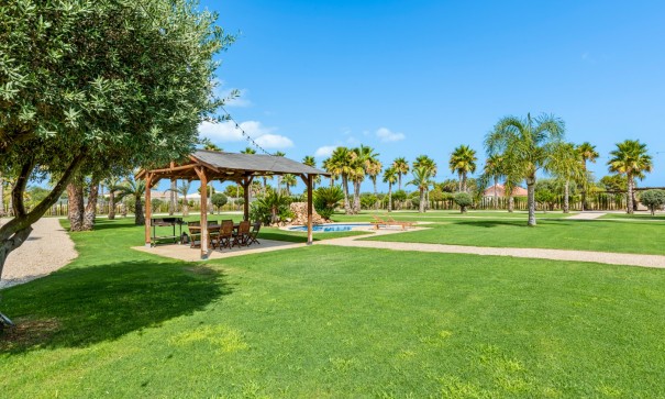 Sale - Detached Villa -
Elche - Elche/Elx