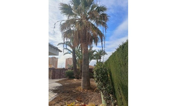 Resale - Freistehende Villa -
Orihuela Costa - Campoamor