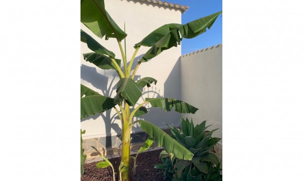 Revente - Villa Individuelle -
Ciudad Quesada - Rojales - Quesada Center