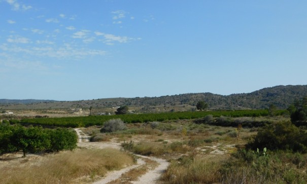 Sprzedaż - Działka Grunt -
Torremendo