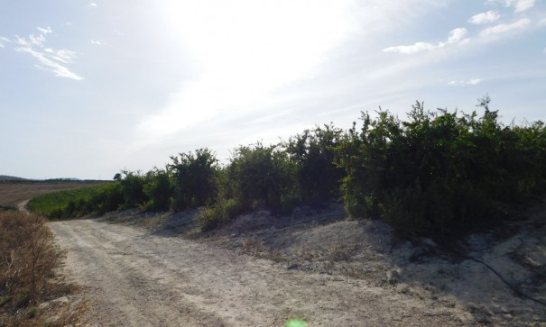 Sprzedaż - Działka Grunt -
Torremendo