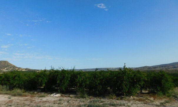 Sprzedaż - Działka Grunt -
Torremendo