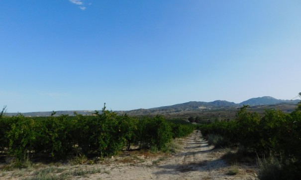 Sprzedaż - Działka Grunt -
Torremendo