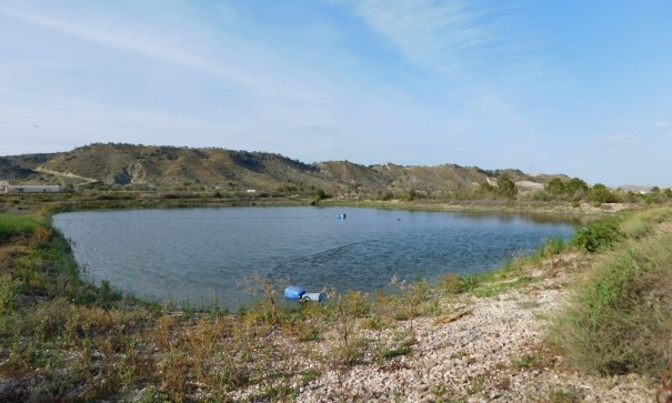 Sprzedaż - Działka Grunt -
Torremendo