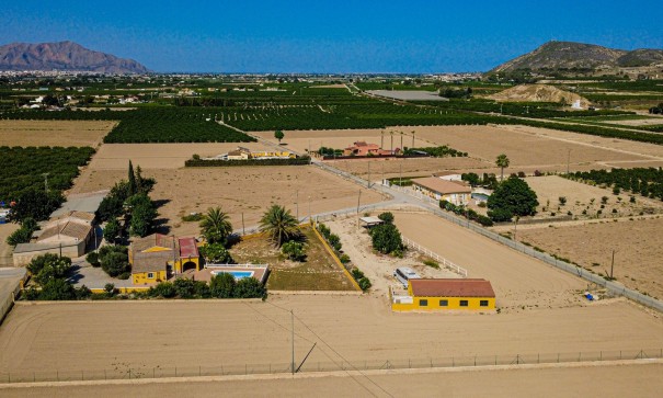 Herverkoop - Finca Landelijk pand -
Orihuela