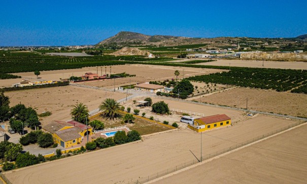 Herverkoop - Finca Landelijk pand -
Orihuela