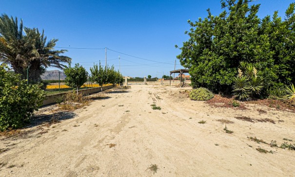 Herverkoop - Finca Landelijk pand -
Orihuela