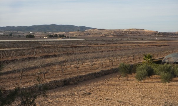 Sprzedaż - Dom miejski -
Pinoso - Pinoso Alicante