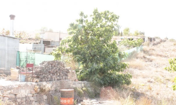 Sale - Town house -
Peña de la Zafra de Arriba - Peña de la Zafra de Arriba Murcia