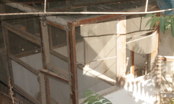 Sale - Town house -
Peña de la Zafra de Arriba - Peña de la Zafra de Arriba Murcia