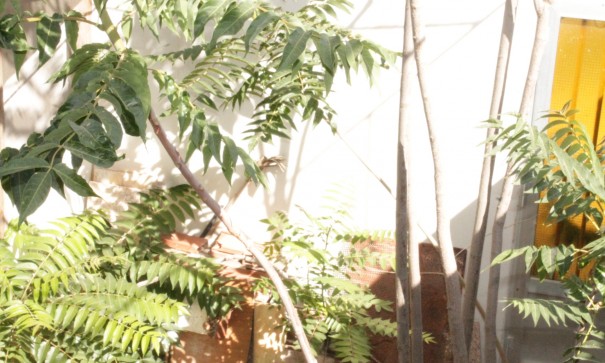 Sale - Town house -
Peña de la Zafra de Arriba - Peña de la Zafra de Arriba Murcia