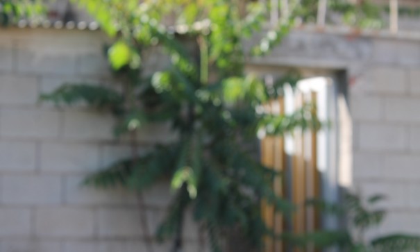 Sale - Town house -
Peña de la Zafra de Arriba - Peña de la Zafra de Arriba Murcia