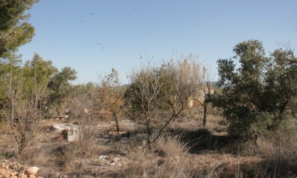 Herverkoop - Finca Landelijk pand -
Lel - Lel Alicante