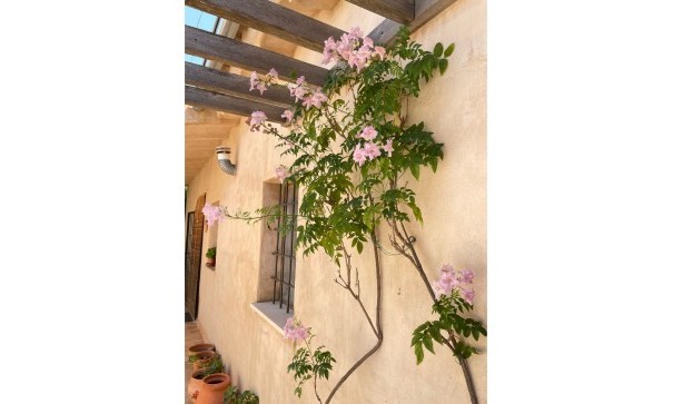 Sale - Finca Country Property -
Raspay - Raspay Murcia