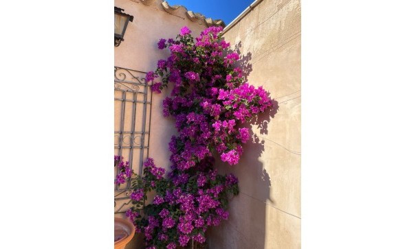 Sale - Finca Country Property -
Raspay - Raspay Murcia