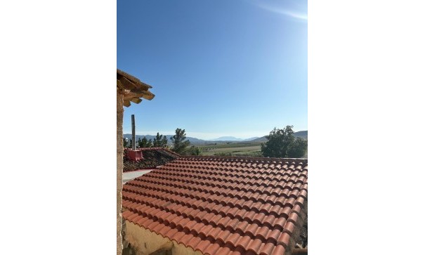 Sale - Finca Country Property -
Cañada del Trigo - Canada del Trigo Murcia