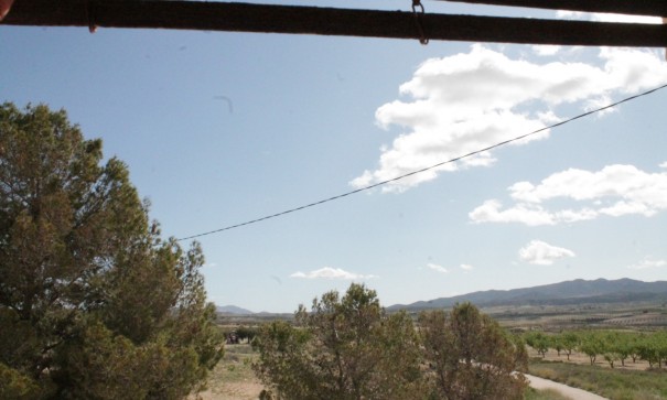 Sale - Finca Country Property -
Cañada del Trigo - Canada del Trigo Murcia