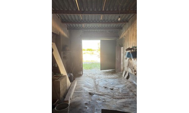 Sale - Finca Country Property -
Cañada del Trigo - Canada del Trigo Murcia