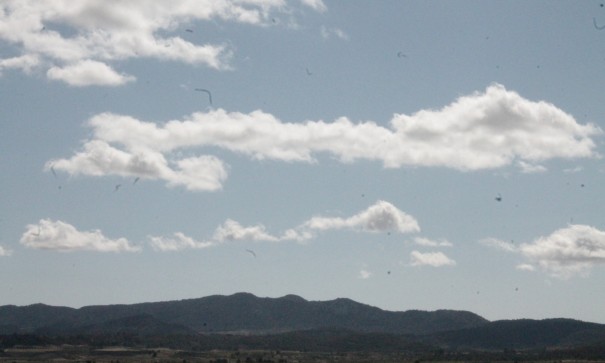 Sale - Finca Country Property -
Cañada del Trigo - Canada del Trigo Murcia