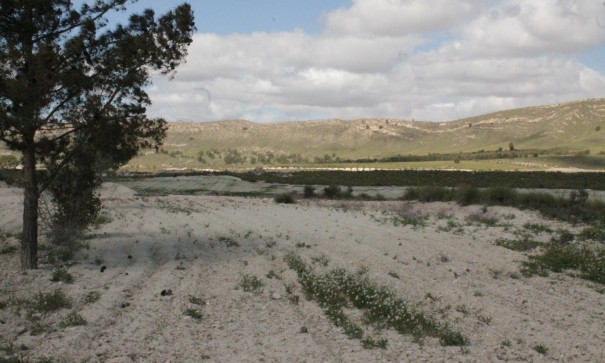 Sale - Finca Country Property -
Cañada del Trigo - Canada del Trigo Murcia