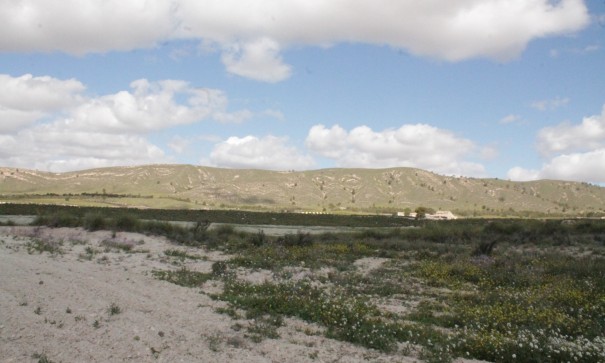 Sale - Finca Country Property -
Cañada del Trigo - Canada del Trigo Murcia