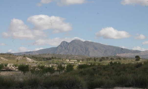 Sale - Finca Country Property -
Cañada del Trigo - Canada del Trigo Murcia