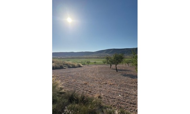 Sale - Finca Country Property -
Cañada del Trigo - Canada del Trigo Murcia