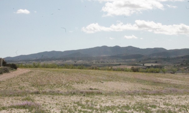 Sale - Finca Country Property -
Cañada del Trigo - Canada del Trigo Murcia