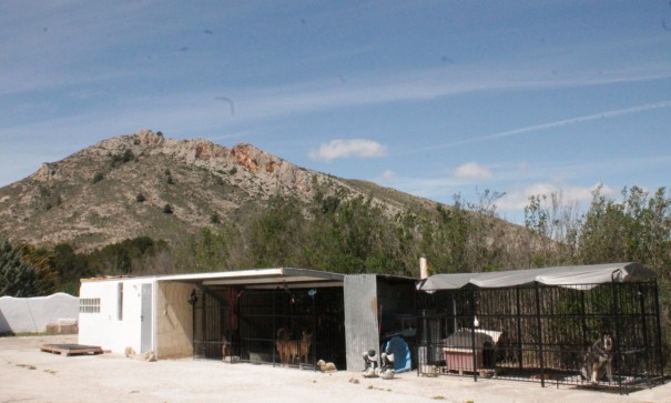 Sale - Finca Country Property -
Villena - Villena Alicante