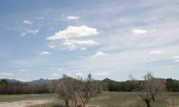 Sale - Finca Country Property -
Villena - Villena Alicante