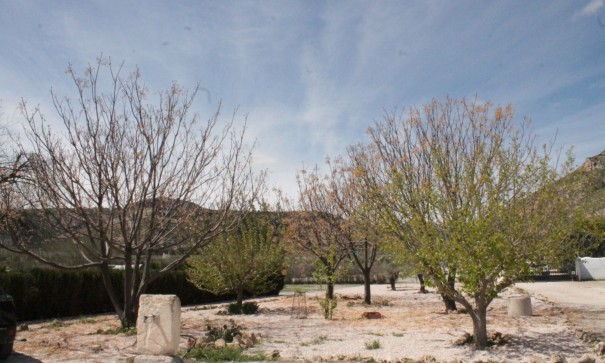 Sale - Finca Country Property -
Villena - Villena Alicante