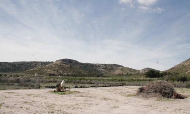 Sale - Finca Country Property -
Villena - Villena Alicante