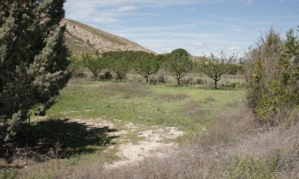 Sale - Finca Country Property -
Villena - Villena Alicante