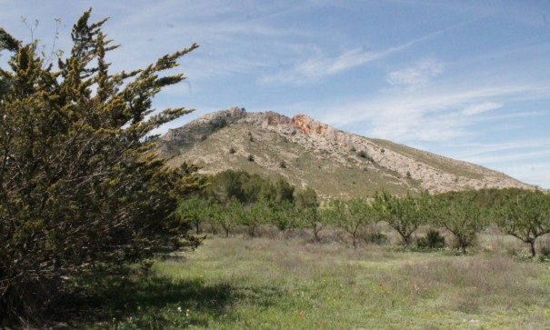 Sale - Finca Country Property -
Villena - Villena Alicante