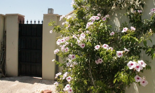 Sale - Detached Villa -
Abanilla - Abanilla Murcia