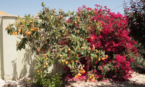 Sale - Detached Villa -
Abanilla - Abanilla Murcia